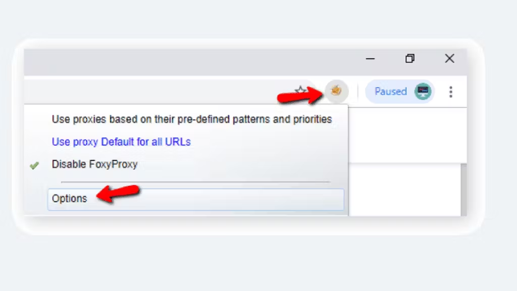 FoxyProxy Extension on Chrome and Firefox