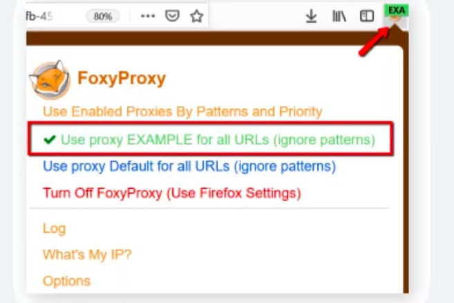 FoxyProxy Extension on Chrome and Firefox