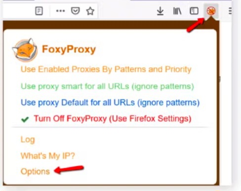 FoxyProxy Extension on Chrome and Firefox